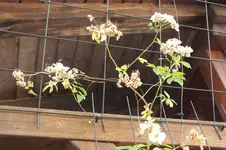 DSCF1814.webp