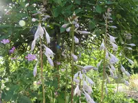013.webp