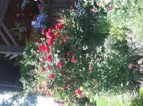 20150702_132835.webp