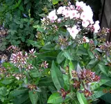 IMG_5451.webp