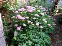 IMG_5453.webp