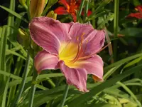 DSCN2798.webp