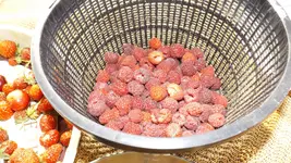 DSCF2795.webp