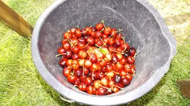 DSCF2798.webp