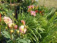 DSCN2801.webp