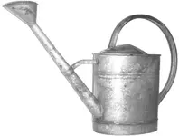 unbekannt 63 2.webp