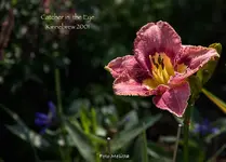 IMG_1137.webp