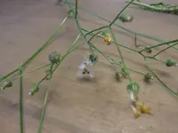 DSCF3914.webp