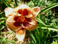 DSCF3915.webp
