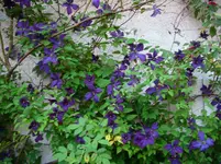 DSCI3495.webp