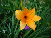DSCI3489.webp