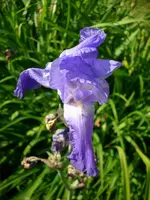DSCI3485.webp