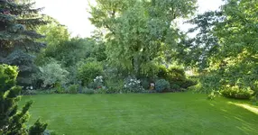 Biesdorfer Garten.webp Biesdorfer Garten.webp