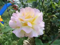 Bilda020.webp