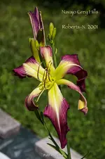 IMG_1324.webp