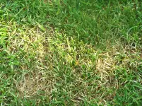 100_4050.webp 100_4050.webp