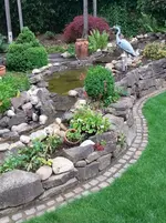 Garten Juli 2015 2.webp