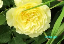 IMG_1143.webp