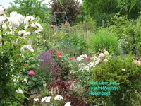 IMG_1146.webp