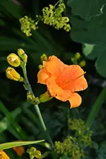 DSC_4854.webp