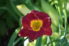 Beyond Eden.webp