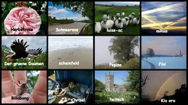 Copy of Endabstimmung Juni 2015.webp
