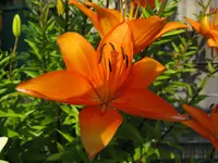 IMG_4284.webp