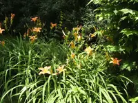 BILD4164.webp