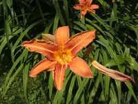 BILD4165.webp