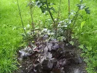 BILD4169.webp
