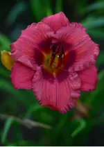 gordon briggs1.webp