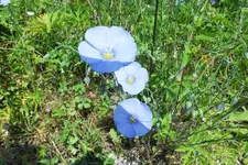 DSCF1840 (2).webp