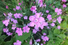 DSCF1842.webp