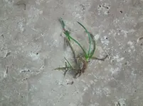 DSCF1555.jpg