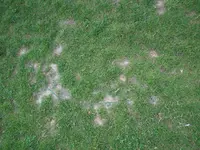 DSCF1556.webp