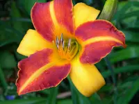 DSCN9385.webp