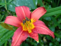 DSCN9384.webp