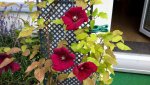 20150706_121441.jpg