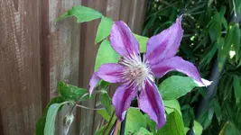 20150706_121532.webp