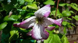 20150706_121546.webp