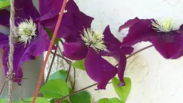 20150706_122153.jpg