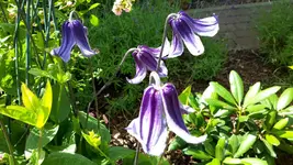 20150706_122038.webp