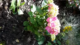 20150706_121631.jpg