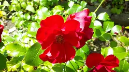 20150706_121729(0).webp