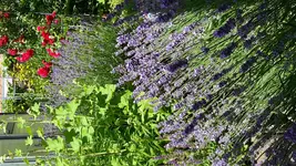 20150706_121931.jpg
