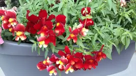 20150706_122706.webp