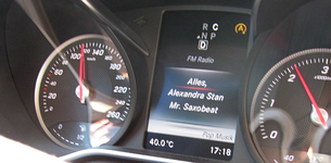 40 Grad.webp