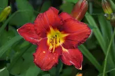 No Name.webp