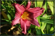 Überraschung 4.webp