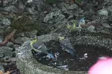DSCF1891.webp